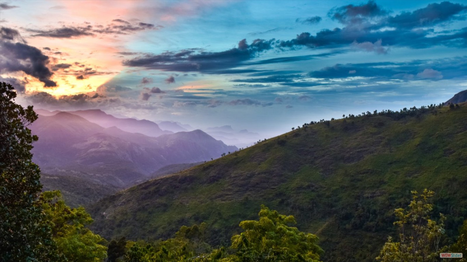 shutterstock_1135541516-1366x768