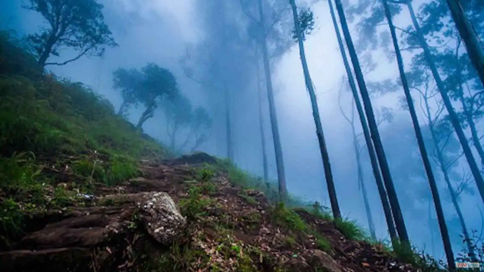 The-trekking-trail-to-Vellagavi.-
