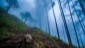 The-trekking-trail-to-Vellagavi.-