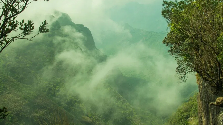 kodaikanal-forest-tour1