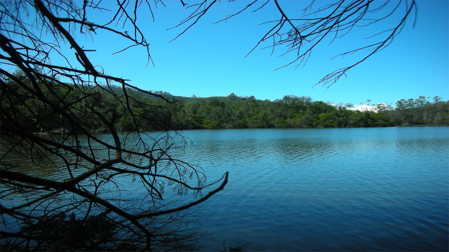 kodaikanal-forest-tour1