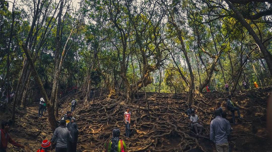 kodaikanal-fullday-tour