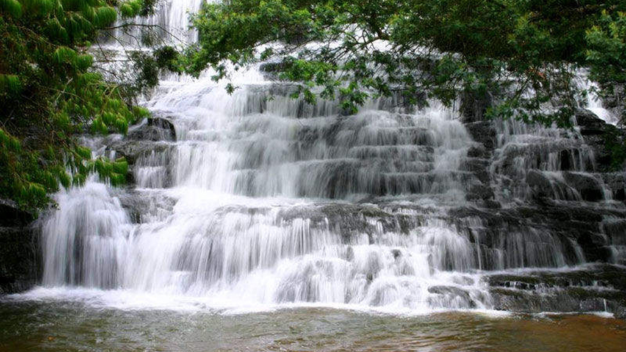 kodaikanal-fullday-tour