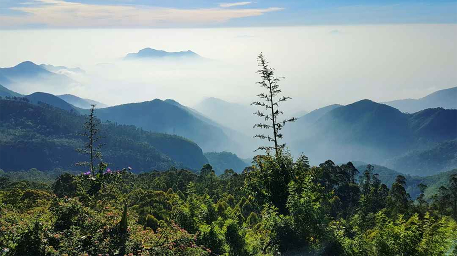 kodaikanal-honeymoon package