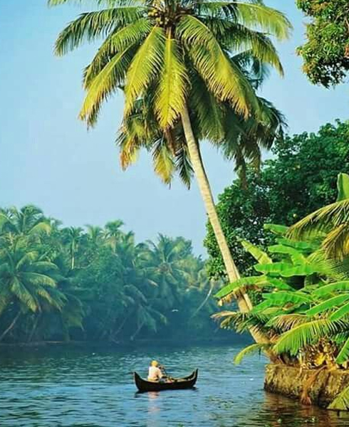 kerala tour package