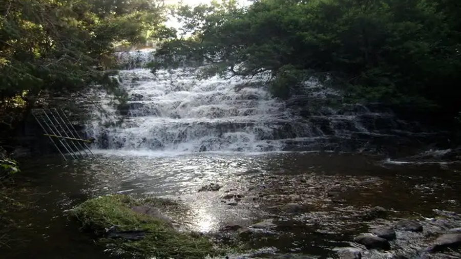kodaikanal-picnic-tour1