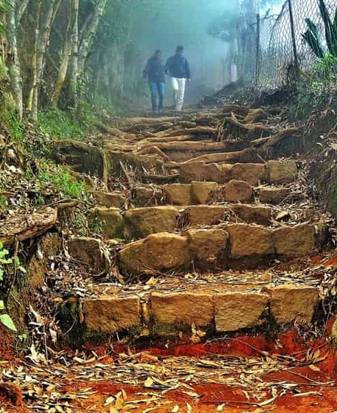 kodaikanal-forest-tour