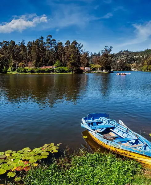 kodaikanal-fullday-tour