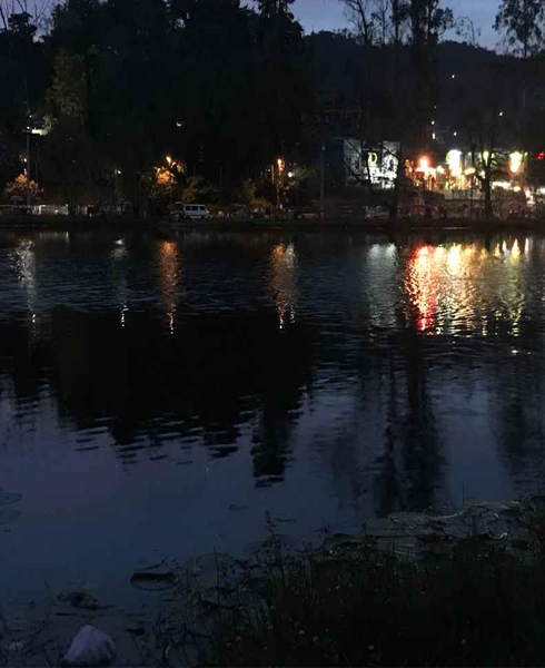 kodaikanal night safari