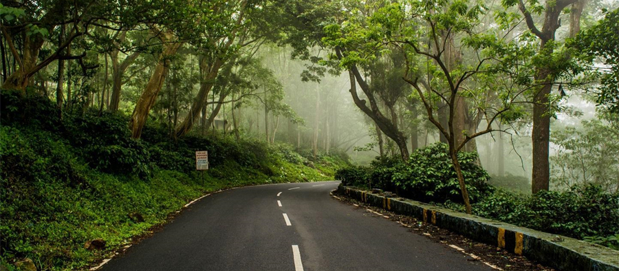 kodaikanal-sightseeing-tours